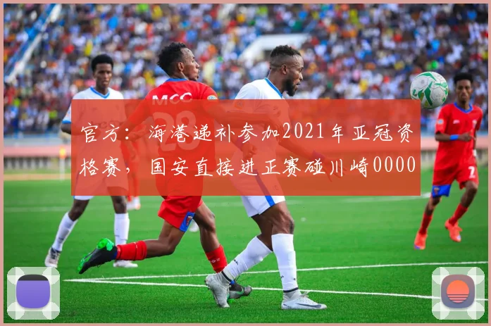 官方：海港递补参加2021年亚冠资格赛，国安直接进正赛碰川崎0000644
