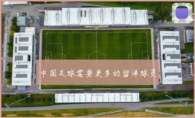 中国足球需要更多的留洋球员