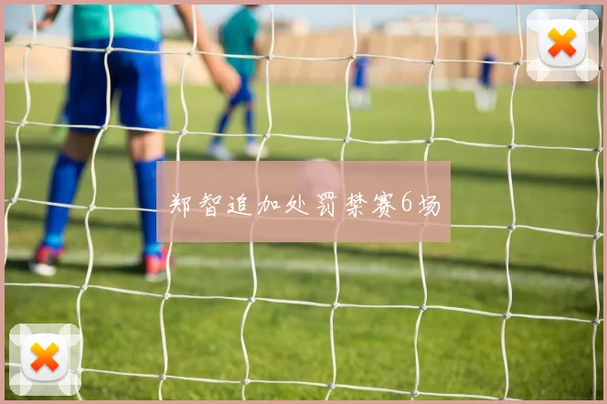 郑智追加处罚禁赛6场